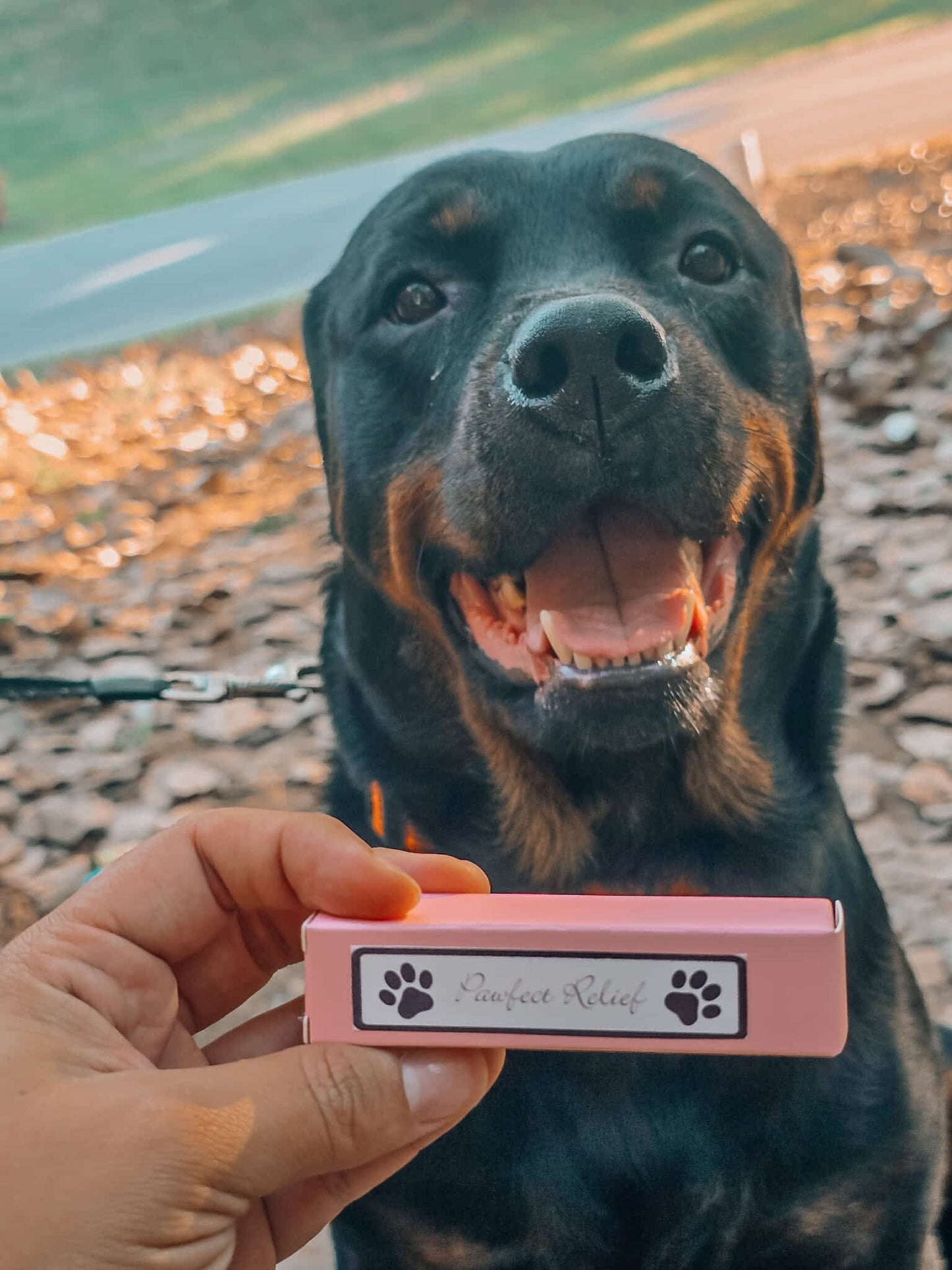 Pawfect Relief